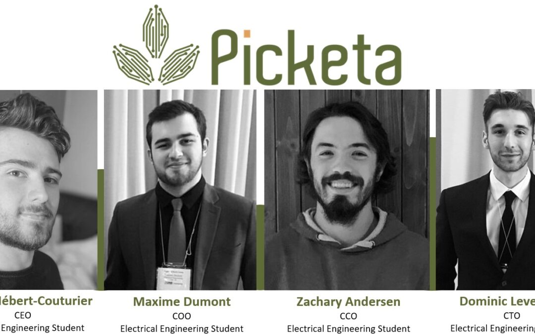 The Success of Picketa Systems